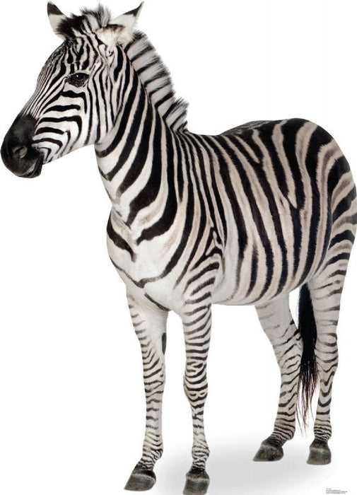 Zebra Lifesize Standup *Made to order-please allow 10-14 days for processing*