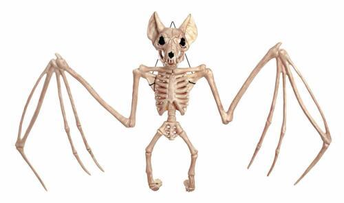 Halloween Bat Skeleton 22in | 1ct - Zurchers