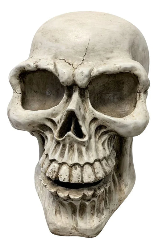 Giant LED Skull 25" | 1 ct - Zurchers