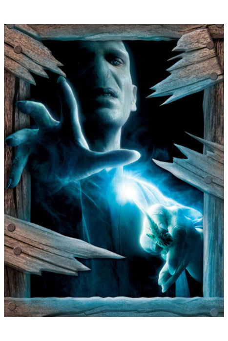 ??Harry Potter Voldemort Wall Breaker | 1 ct - Zurchers