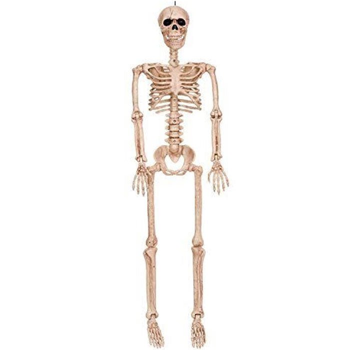 Halloween Posable Skeleton 36in | 1ct - Zurchers