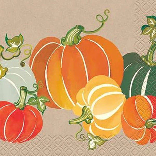 Colorful Pumpkins Beverage Napkins | 16 ct? - Zurchers