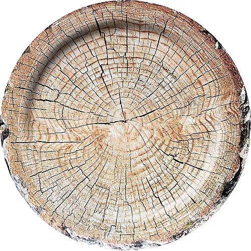 Cut Timber 7in Paper Plates 8pk | 1ct - Zurchers