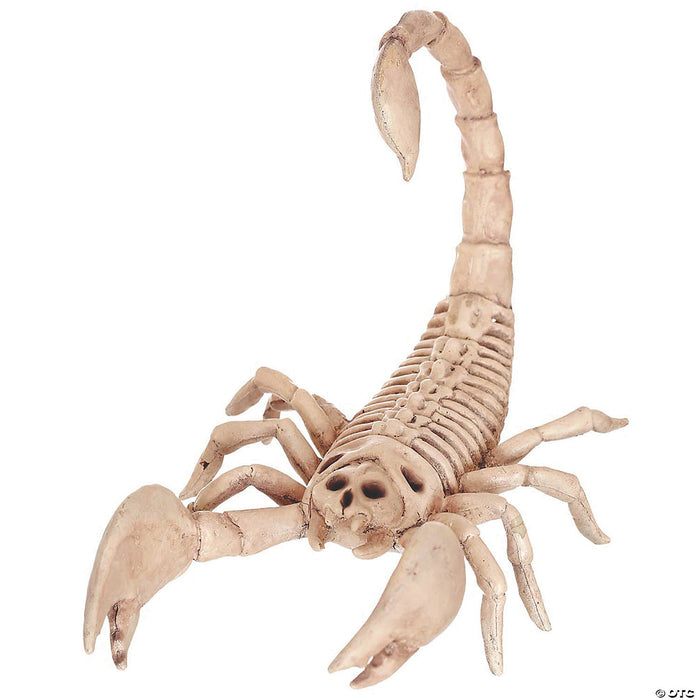 Skeleton Crazy Bonez Scorpion 9" | 1ct - Zurchers