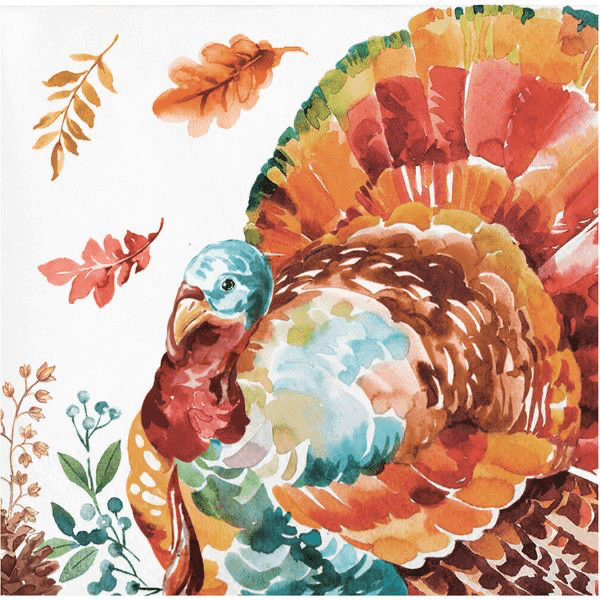 Tasteful Turkey - Beverage Napkin 2 Ply 16 Ct - Zurchers