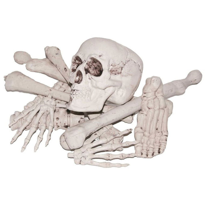 Bag Of Bones | 12 pcs - Zurchers
