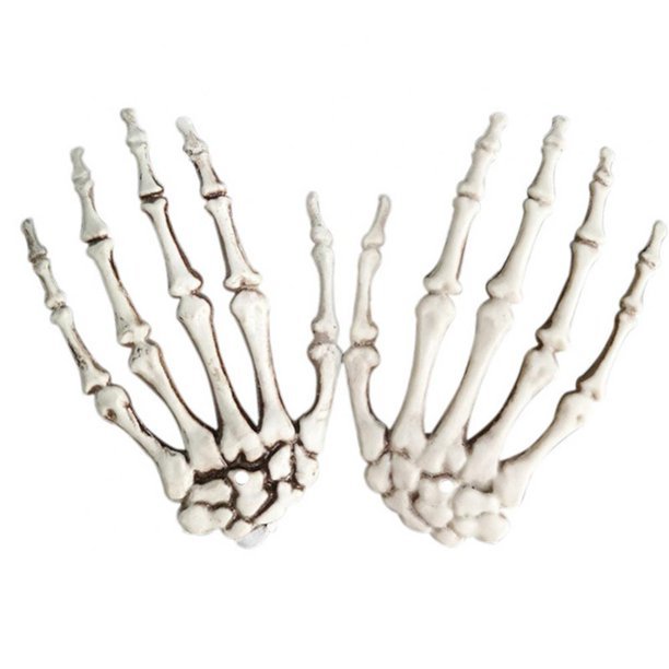 Skeleton Hand Bone Left or Right 8"| 1 ct - Zurchers