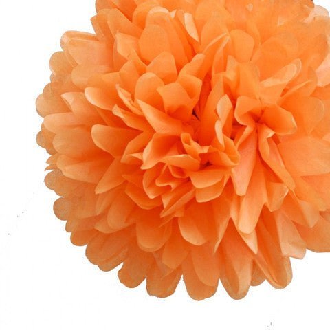 Pom Poms - Zurchers