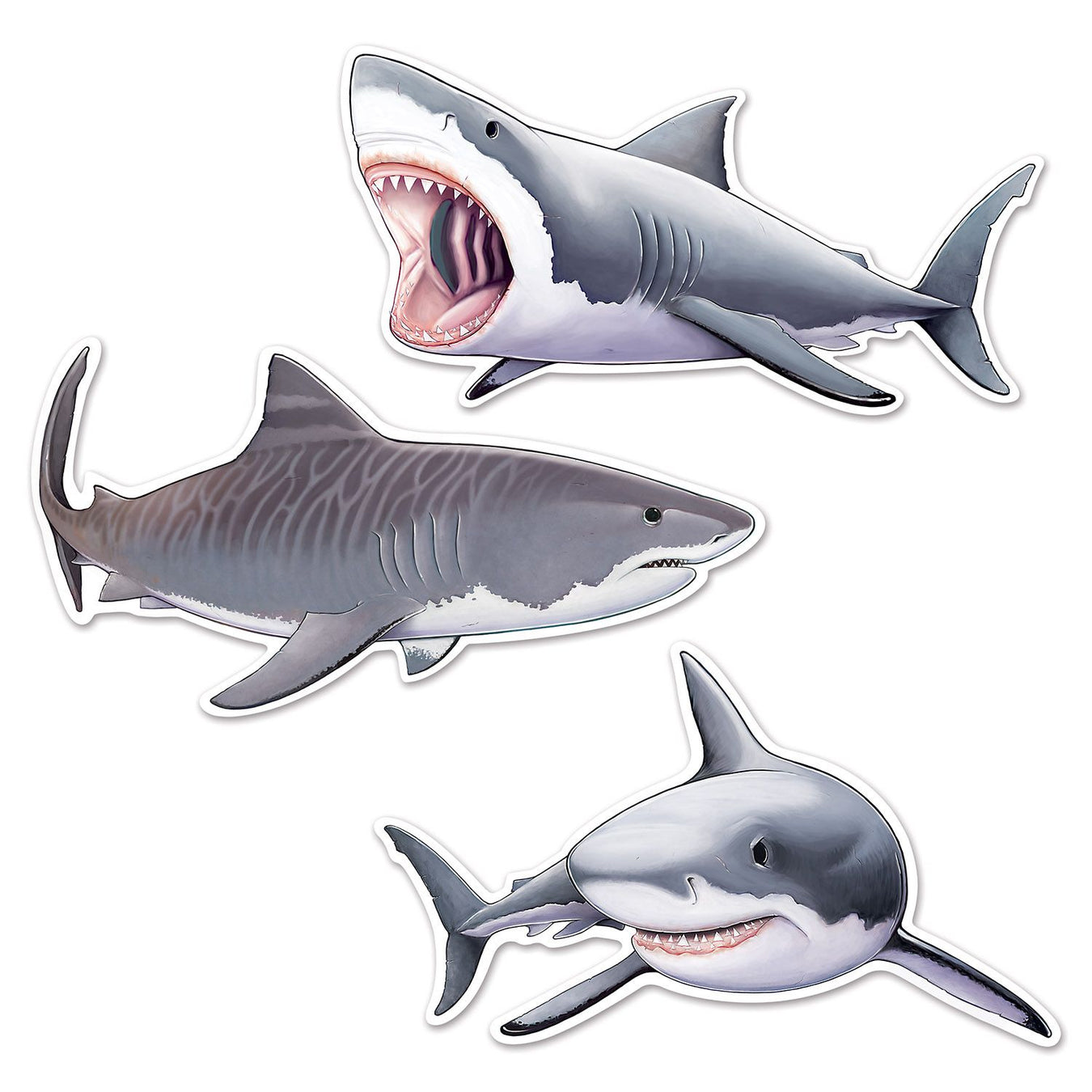Shark Party - Zurchers