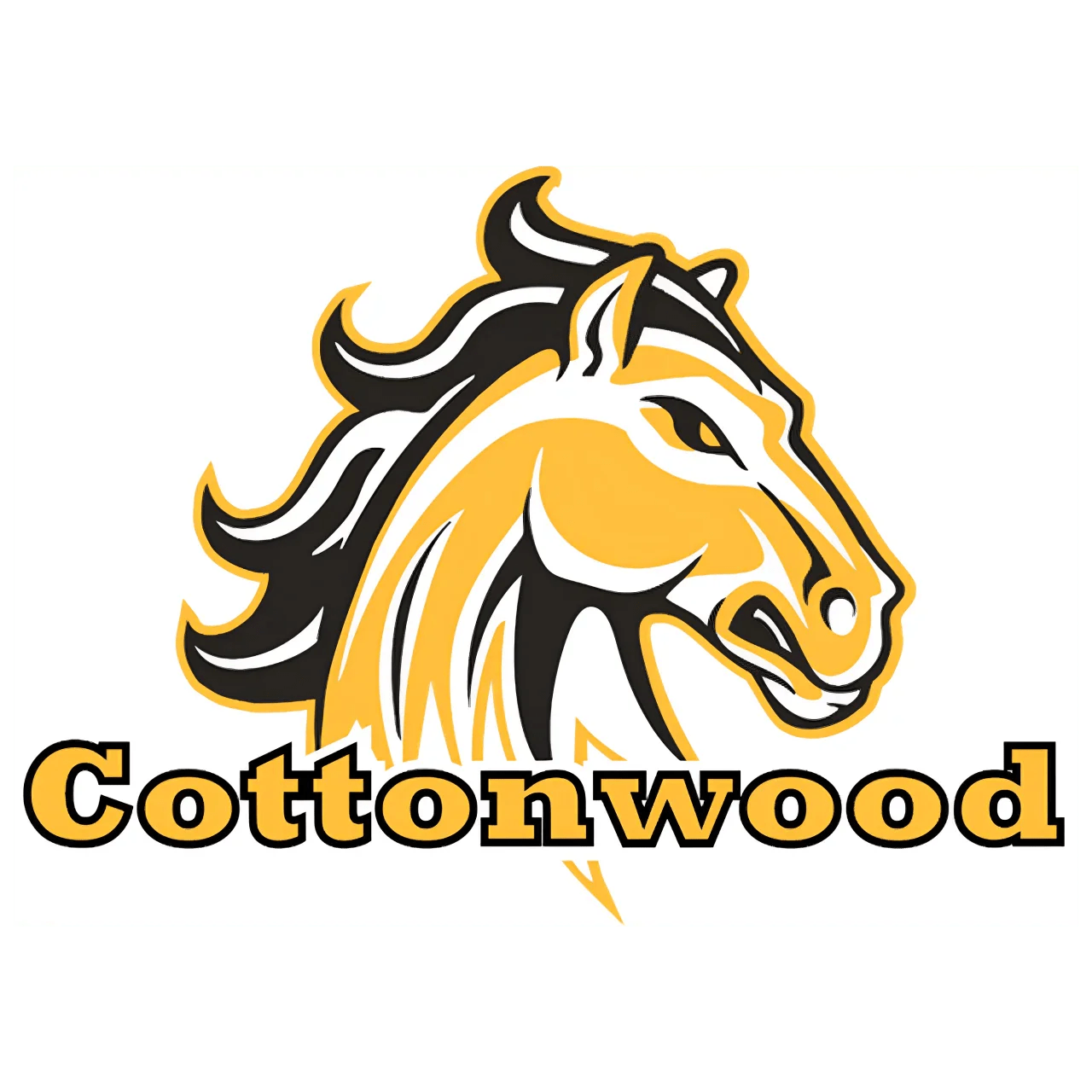 Cottonwood HS - Zurchers