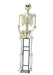 Titan Skeleton W/LED Eyes 10' | 1 ct - Zurchers