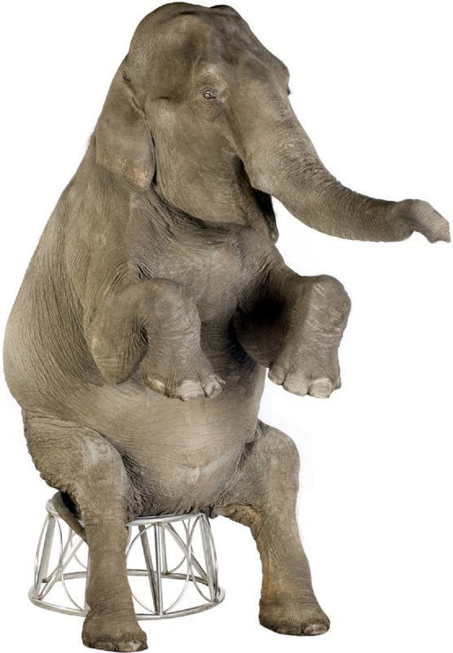 Asian Elephant Lifesize standup *Made to order-please allow 10-14 days for processing*