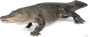 American Alligator Lifesize Standup *Made to order-please allow 10-14 days for processing*