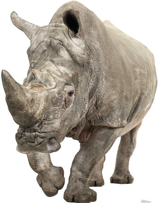 White Rhinoceros Lifesize Standup *Made to order-please allow 10-14 days for processing*