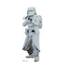 Snowtrooper - Star Wars - The Force Awakens Lifesize Standup *Made to order - please allow 10 - 14 days for processing* - Zurchers