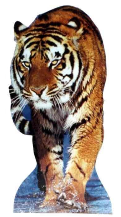 Tiger Lifesize Standup *Made to order - please allow 10 - 14 days for processing* - Zurchers
