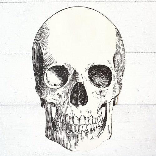 Die - Cut Skull Placemat | 12 ct - Zurchers