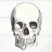 Die - Cut Skull Placemat | 12 ct - Zurchers