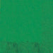 Festive Green Dinner Napkins | 40ct - Zurchers
