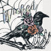 Hauntings Iridescent Lunch Napkins | 16 ct - Zurchers
