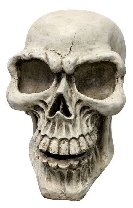 Giant LED Skull 25" | 1 ct - Zurchers