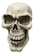 Giant LED Skull 25" | 1 ct - Zurchers