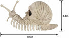 Crazy Bonez Snail Skeleton 8.6" | 1 ct - Zurchers