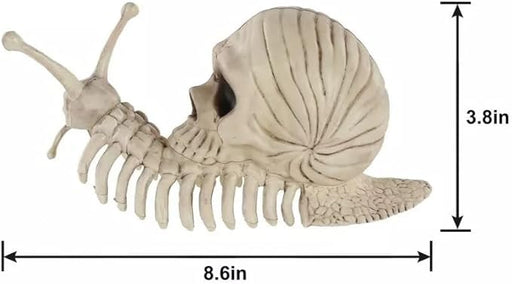 Crazy Bonez Snail Skeleton 8.6" | 1 ct - Zurchers