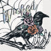 Hauntings Iridescent Lunch Napkins | 16 ct - Zurchers