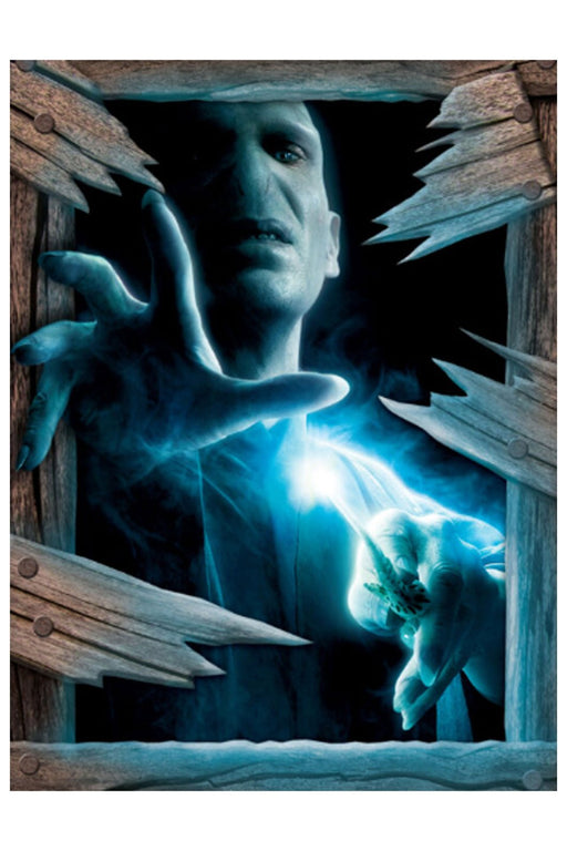 ??Harry Potter Voldemort Wall Breaker | 1 ct - Zurchers