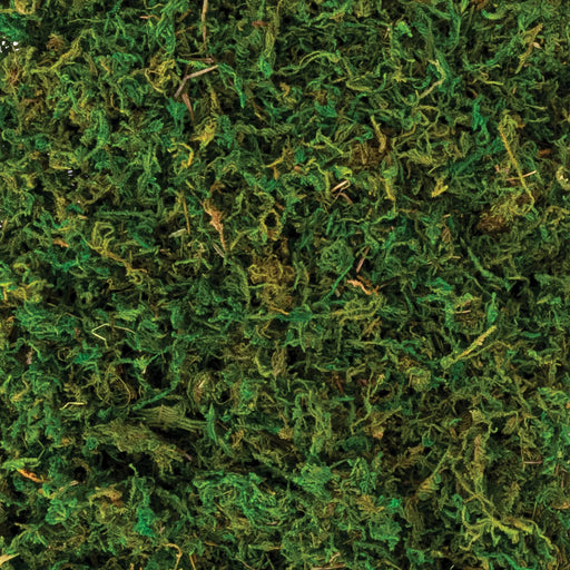 Halloween Natural Moss 4.2oz | 1ct - Zurchers