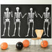 Halloween Skeleton 3 Piece Back Drop | 3pcs - Zurchers