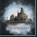 Halloween Harry Potter Hogwarts Lunch Napkins | 36ct - Zurchers