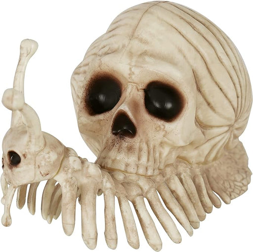 Crazy Bonez Snail Skeleton 8.6" | 1 ct - Zurchers