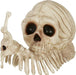 Crazy Bonez Snail Skeleton 8.6" | 1 ct - Zurchers