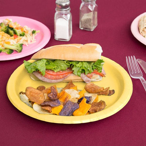 Light Yellow Round Dinner Paper Plates 10" | 24ct - Zurchers