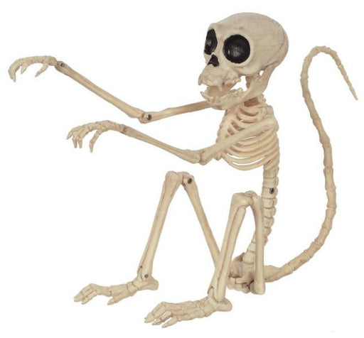 Skeleton Crazy Bonez Monkey 7.25" | 1ct - Zurchers