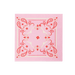 Cow Gal Bandana Paper Cocktail Napkins | 24 ct - Zurchers