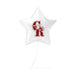 Canyon Ridge High School Mylar Balloon 17" | 1 ct - Zurchers