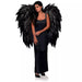 Angel Wings | 1 ct - Zurchers