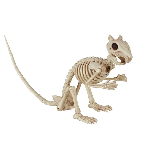 Halloween Squirrel Skeleton 3.5"x 15"x 5.5" | 1 ct - Zurchers