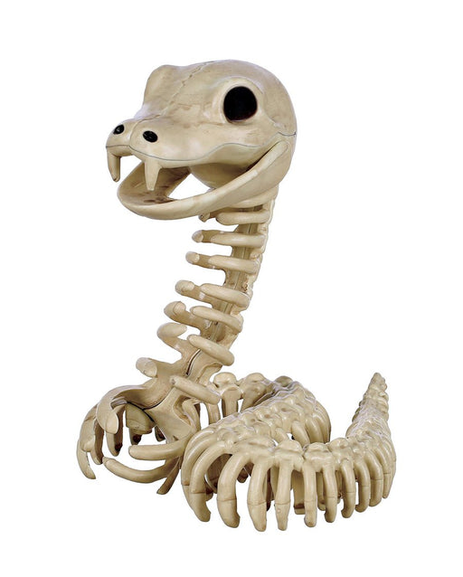 Crazy Bonez Snake Skeleton 6.75" | 1 ct - Zurchers