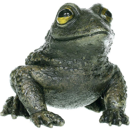 PVC Frog 9.5" | 1 ct - Zurchers