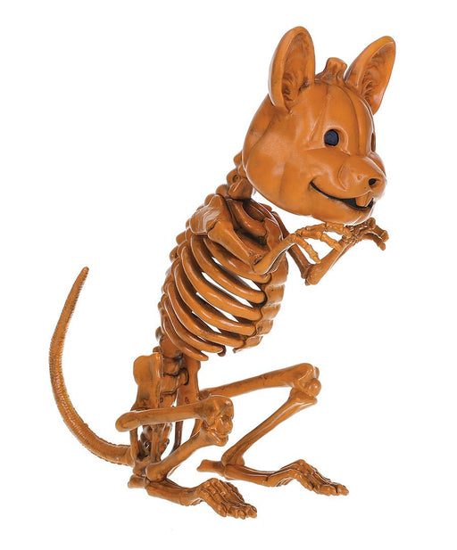 range Cat Faced Mouse Skeleton 6.6" | 1 ct - Zurchers