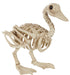 Skeleton Duck 15" | 1 ct - Zurchers