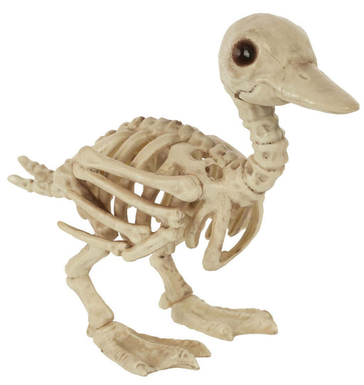 Skeleton Baby Duck 7.75" | 1 ct - Zurchers
