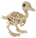 Skeleton Baby Duck 7.75" | 1 ct - Zurchers