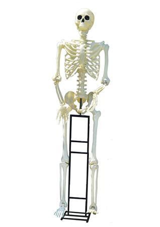 Titan Skeleton W/LED Eyes 10' | 1 ct - Zurchers