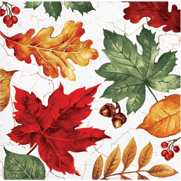 Autum Air - Beverage Napkin 2 Ply 16 Ct - Zurchers