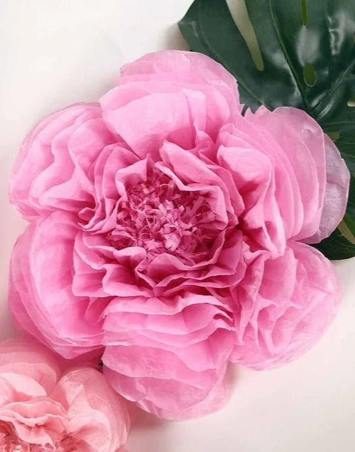 Scallop Shaped Tissue Flower 20" | 1ct - Zurchers